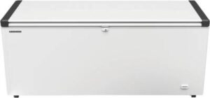 Productfoto van Liebherr EFL 6055-21 te koop bij Sweers Witgoed