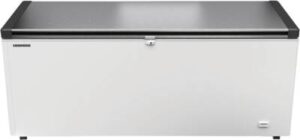 Productfoto van Liebherr EFL 6056-21 te koop bij Sweers Witgoed